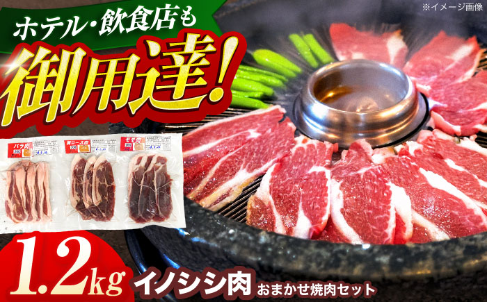 ジビエ 天然イノシシ肉 おまかせ焼肉セット 1.2kg （ロース・モモ・バラ）【照本食肉加工所】 [OAJ006] / 肉 猪 猪肉 イノシシ イノシシ肉 いのしし しし肉 しし鍋 ボタン鍋 ジビエ