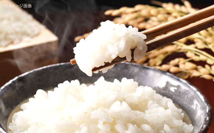 【12回定期便】虚空蔵の清流水で育った棚田米『ひなた米』 5kg 【木場中山間管理組合】 [OCM048]