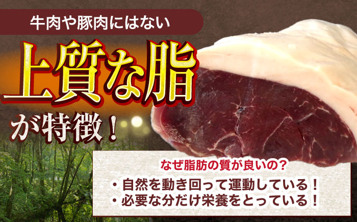 【6回定期便】ジビエ 天然イノシシ肉 粗挽きミンチ肉 800g【照本食肉加工所】 [OAJ068] / 肉 猪 猪肉 イノシシ イノシシ肉 いのしし しし肉 しし鍋 ボタン鍋 ジビエ