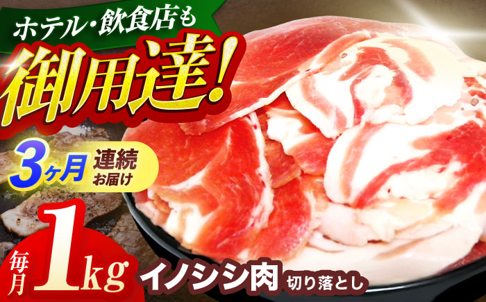 【3回定期便】ジビエ 天然イノシシ肉 切り落とし1kg（ぼたん鍋・煮込料理・野菜炒め用等）【照本食肉加工所】 [OAJ019] / 肉 猪 猪肉 イノシシ イノシシ肉 いのしし しし肉 しし鍋 ボタン鍋 ジビエ