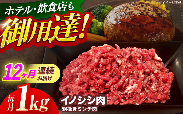 【12回定期便】ジビエ 天然イノシシ肉 粗挽きミンチ肉 1kg【照本食肉加工所】 [OAJ072] / 肉 猪 猪肉 イノシシ イノシシ肉 いのしし しし肉 しし鍋 ボタン鍋 ジビエ