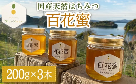 百花蜜 国産天然はちみつ 200g × 3本〈嬉しい贈答箱入り！〉【オリーブハニー】[OCG004] / はちみつ 蜂蜜 ハチミツ 百花蜜 国産はちみつ 百花蜜 長崎県産蜂蜜 川棚町ハチミツ