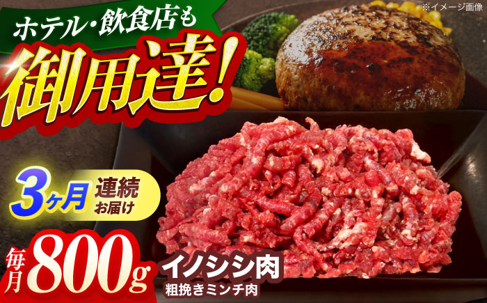 【3回定期便】ジビエ 天然イノシシ肉 粗挽きミンチ肉 800g【照本食肉加工所】 [OAJ067] / 肉 猪 猪肉 イノシシ イノシシ肉 いのしし しし肉 しし鍋 ボタン鍋 ジビエ