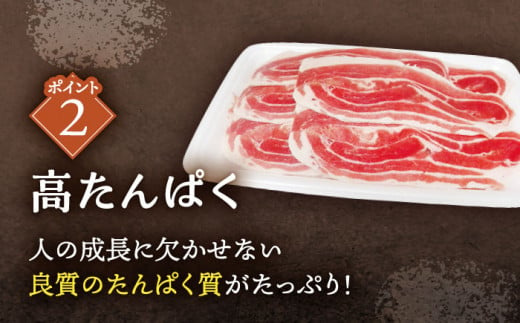 ジビエ 天然イノシシ肉 バラ肉スライス 500g【照本食肉加工所】[OAJ007] / 猪 猪肉 いのしし肉 イノシシ イノシシ肉 ジビエ いのしし 長崎県猪 川棚町産猪 ぼたん鍋用いのしし 九州産イノシシ じびえ ジビエ ジビエ肉 