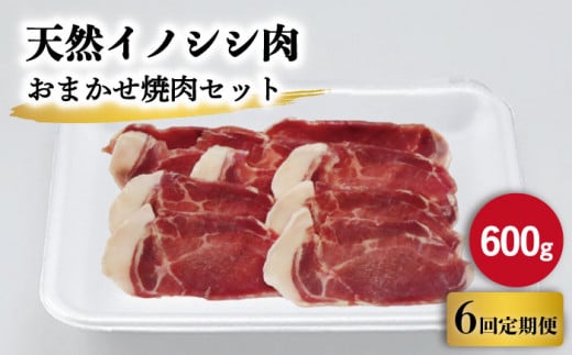 【6回定期便】ジビエ 天然イノシシ肉 おまかせ焼肉セット 600g （ロース・モモ・バラ）【照本食肉加工所】[OAJ029] / 猪 猪肉 いのしし肉 イノシシ イノシシ肉 ジビエ いのしし 長崎県猪 川棚町産猪 ぼたん鍋用いのしし 九州産イノシシ じびえ ジビエ ジビエ肉