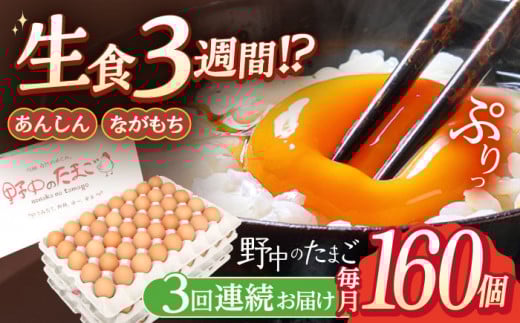 【3回定期便】産みたて新鮮卵 野中のたまご  160個×3回 計480個【野中鶏卵】[OAC010] / 卵 長持ち 濃厚 玉子 濃厚 卵料理 タマゴ 鶏卵 オムレツ 卵かけご飯 卵焼き