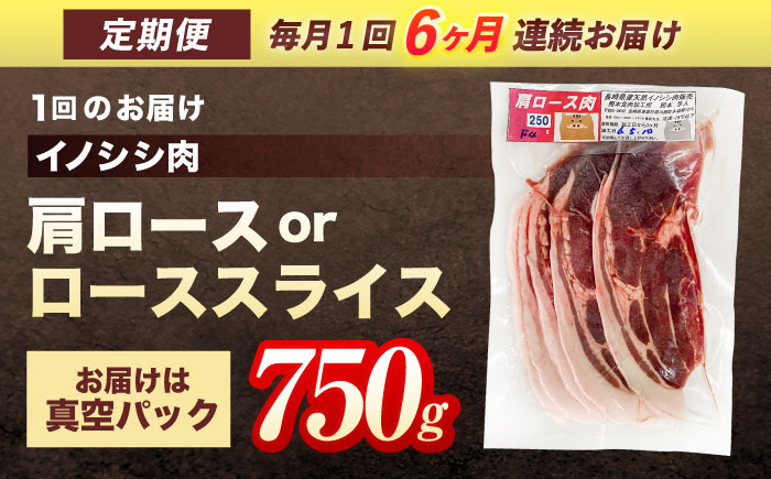 【6回定期便】ジビエ 天然イノシシ肉 肩ロース or ロース スライス750g【照本食肉加工所】 [OAJ056] / 肉 猪 猪肉 イノシシ イノシシ肉 いのしし しし肉 しし鍋 ボタン鍋 ジビエ