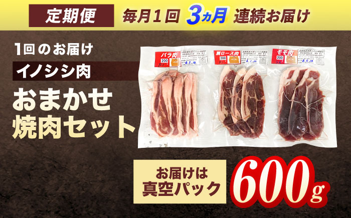 【3回定期便】ジビエ 天然イノシシ肉 おまかせ焼肉セット 600g （ロース・モモ・バラ）【照本食肉加工所】 [OAJ028] / 肉 猪 猪肉 イノシシ イノシシ肉 いのしし しし肉 しし鍋 ボタン鍋 ジビエ