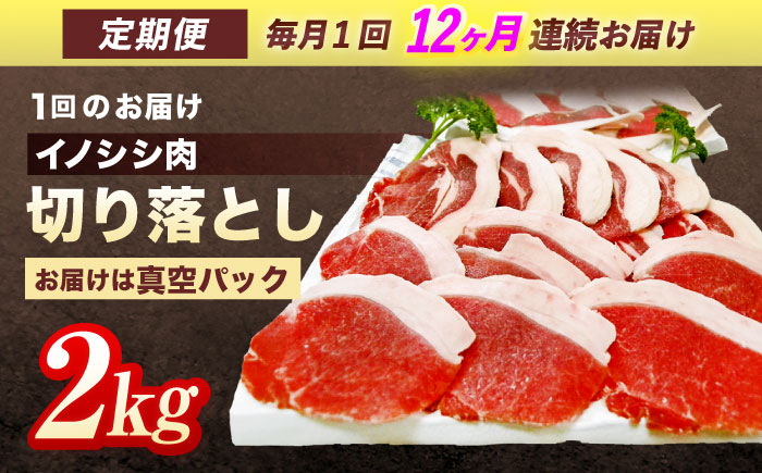 【12回定期便】ジビエ 天然イノシシ肉 切り落とし2kg（ぼたん鍋・煮込料理・野菜炒め用等）【照本食肉加工所】 [OAJ024] / 肉 猪 猪肉 イノシシ イノシシ肉 いのしし しし肉 しし鍋 ボタン鍋 ジビエ