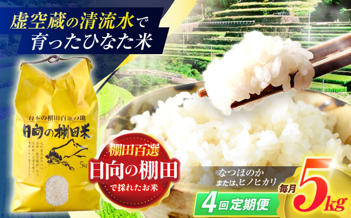 【4回定期便】虚空蔵の清流水で育った棚田米『ひなた米』 5kg 【木場中山間管理組合】 [OCM044]
