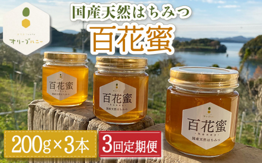 【3回定期便】百花蜜 国産天然はちみつ 200g × 3本〈嬉しい贈答箱入り！〉【オリーブハニー】[OCG006] / はちみつ 蜂蜜 ハチミツ 百花蜜 国産はちみつ 百花蜜 長崎県産蜂蜜 川棚町ハチミツ