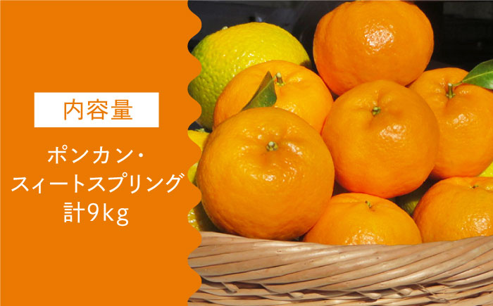 【数量限定】ポンカン&スィートスプリング 食べ比べセット 約9kg【長崎ぶんたんの会】 [OAF009] / 完熟 ミカン 柑橘 果物  フルーツ みかん 柑橘類 椪柑 スイートスプリング 勾配種 詰め合わせ 詰合わせ セット