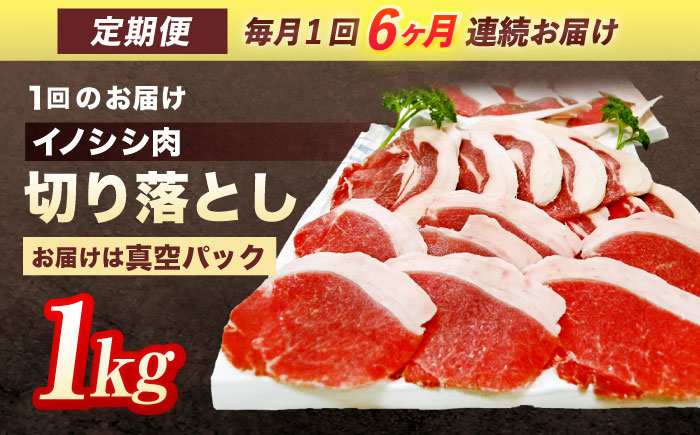 【6回定期便】ジビエ 天然イノシシ肉 切り落とし1kg（ぼたん鍋・煮込料理・野菜炒め用等）【照本食肉加工所】 [OAJ020] / 肉 猪 猪肉 イノシシ イノシシ肉 いのしし しし肉 しし鍋 ボタン鍋 ジビエ