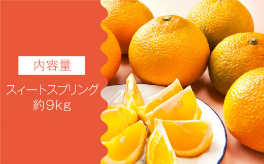 【数量限定】甘くてジューシーな果実 スィートスプリング 約9kg ミカン 柑橘 果物  フルーツ【長崎ぶんたんの会 】 [OAF007]