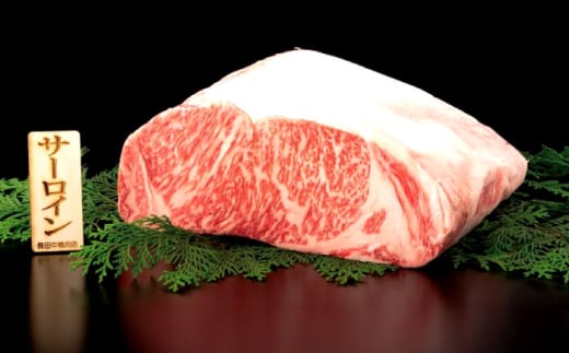 長崎和牛 サーロインステーキ 180g×2枚【株式会社田中精肉店】 [OCA001] / 牛肉 贈答 国産