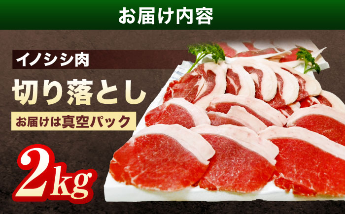 ジビエ 天然イノシシ肉 切り落とし2kg（ぼたん鍋・煮込料理・野菜炒め用等）【照本食肉加工所】 [OAJ002] / 肉 猪 猪肉 イノシシ イノシシ肉 いのしし しし肉 しし鍋 ボタン鍋 ジビエ