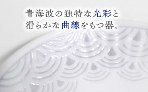 【波佐見焼】青海波グレー プレート ボウル Mサイズ 各5個 計10個【聖栄陶器】[OAR050] / ぼうる 深皿 取り皿 ボウルセット かわいい 食器 波佐見焼 陶器 はさみやき 食器セット おしゃれ 人気 サラダ皿スープ皿 シチュー カレー皿 プレートセット ワンプレート