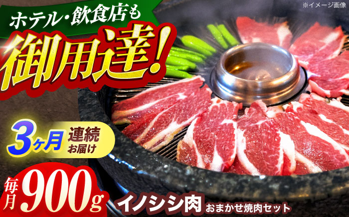 【3回定期便】ジビエ 天然イノシシ肉 おまかせ焼肉セット 900g （ロース・モモ・バラ）【照本食肉加工所】 [OAJ031] / 肉 猪 猪肉 イノシシ イノシシ肉 いのしし しし肉 しし鍋 ボタン鍋 ジビエ