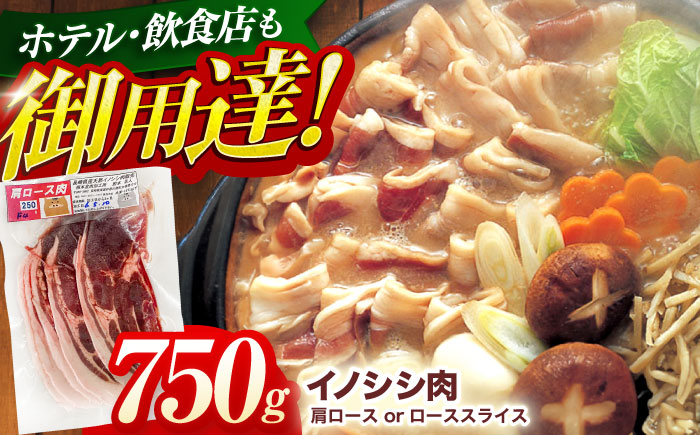 ジビエ 天然イノシシ肉 肩ロース or ロース スライス750g【照本食肉加工所】 [OAJ011] / 肉 猪 猪肉 イノシシ イノシシ肉 いのしし しし肉 しし鍋 ボタン鍋 ジビエ