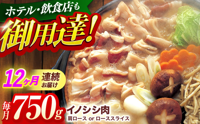 【12回定期便】ジビエ 天然イノシシ肉 肩ロース or ロース スライス750g【照本食肉加工所】 [OAJ057] / 肉 猪 猪肉 イノシシ イノシシ肉 いのしし しし肉 しし鍋 ボタン鍋 ジビエ