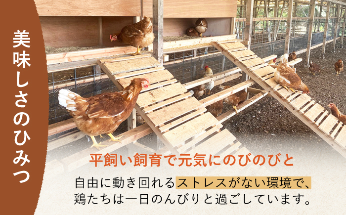 平飼い もみじ の 高級 たまご 40個 ※12月発送なし【野中鶏卵】 [OAC013]