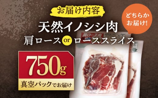 ジビエ 天然イノシシ肉 肩ロース or ロース スライス750g / 猪 猪肉 いのしし肉 イノシシ イノシシ肉 ジビエ いのしし 長崎県猪 川棚町産猪 ぼたん鍋用いのしし 九州産イノシシ じびえ ジビエ ジビエ肉【照本食肉加工所】[OAJ011]