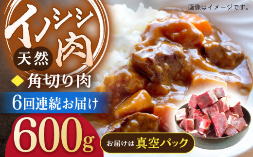 【6回定期便】ジビエ 天然イノシシ肉 角切り肉 600g（カレー・シチュー）【照本食肉加工所】[OAJ045] / 猪 猪肉 いのしし肉 イノシシ イノシシ肉 ジビエ いのしし 長崎県猪 川棚町産猪 ぼたん鍋用いのしし 九州産イノシシ じびえ ジビエ ジビエ肉