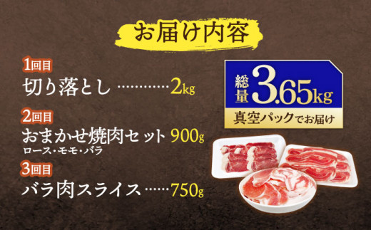 【3回定期便】ジビエ 天然イノシシ肉 人気部位 総量3.65kg【照本食肉加工所】 [OAJ076]