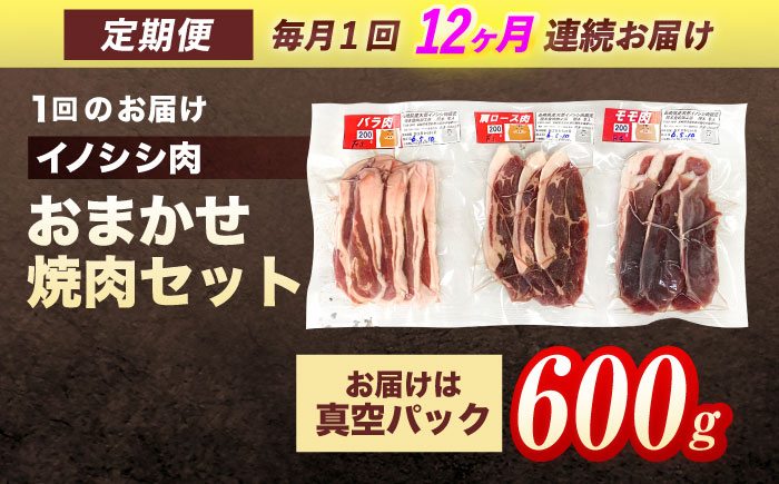 【12回定期便】ジビエ 天然イノシシ肉 おまかせ焼肉セット 600g （ロース・モモ・バラ）【照本食肉加工所】 [OAJ030] / 肉 猪 猪肉 イノシシ イノシシ肉 いのしし しし肉 しし鍋 ボタン鍋 ジビエ