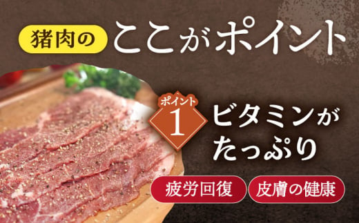 【6回定期便】ジビエ 天然イノシシ肉 肩ロース or ロース スライス500g【照本食肉加工所】[OAJ043] / 猪 猪肉 いのしし肉 イノシシ イノシシ肉 ジビエ いのしし 長崎県猪 川棚町産猪 ぼたん鍋用いのしし 九州産イノシシ じびえ ジビエ ジビエ肉