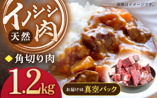 ジビエ 天然イノシシ肉 角切り肉 1.2kg（カレー・シチュー）【照本食肉加工所】[OAJ015] / 猪 猪肉 いのしし肉 イノシシ イノシシ肉 ジビエ いのしし 長崎県猪 川棚町産猪 ぼたん鍋用いのしし 九州産イノシシ じびえ ジビエ ジビエ肉