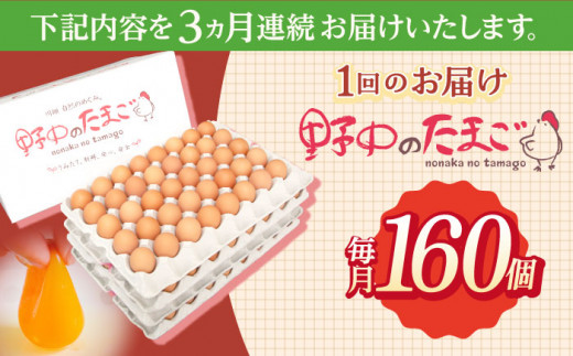 【3回定期便】産みたて新鮮卵 野中のたまご  160個×3回 計480個【野中鶏卵】[OAC010] / 卵 長持ち 濃厚 玉子 濃厚 卵料理 タマゴ 鶏卵 オムレツ 卵かけご飯 卵焼き 