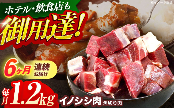 【6回定期便】ジビエ 天然イノシシ肉 角切り肉 1.2kg（カレー・シチュー）【照本食肉加工所】 [OAJ065] / 肉 猪 猪肉 イノシシ イノシシ肉 いのしし しし肉 しし鍋 ボタン鍋 ジビエ