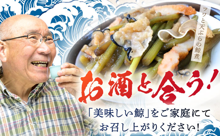【3回定期便】調理用部位定期便（煮しめ鯨・炙り用脂筋肉スライス・特上ゆかけ鯨（畝）） [OBR018]