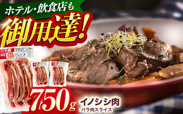 ジビエ 天然イノシシ肉 バラ肉スライス 750g【照本食肉加工所】 [OAJ008] / 肉 猪 猪肉 イノシシ イノシシ肉 いのしし しし肉 しし鍋 ボタン鍋 ジビエ