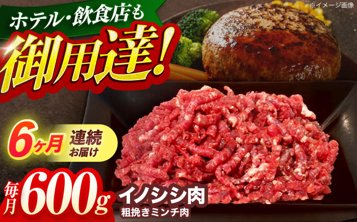 【6回定期便】ジビエ 天然イノシシ肉 粗挽きミンチ肉 600g【照本食肉加工所】 [OAJ047] / 肉 猪 猪肉 イノシシ イノシシ肉 いのしし しし肉 しし鍋 ボタン鍋 ジビエ