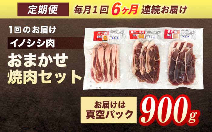 【6回定期便】ジビエ 天然イノシシ肉 おまかせ焼肉セット 900g （ロース・モモ・バラ）【照本食肉加工所】 [OAJ032] / 肉 猪 猪肉 イノシシ イノシシ肉 いのしし しし肉 しし鍋 ボタン鍋 ジビエ