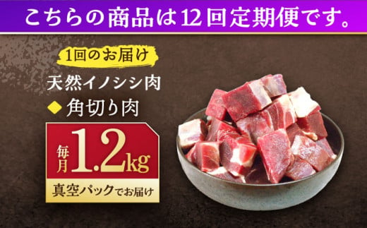 【12回定期便】ジビエ 天然イノシシ肉 角切り肉 1.2kg（カレー・シチュー）【照本食肉加工所】[OAJ066] / 猪 猪肉 いのしし肉 イノシシ イノシシ肉 ジビエ いのしし 長崎県猪 川棚町産猪 ぼたん鍋用いのしし 九州産イノシシ じびえ ジビエ ジビエ肉