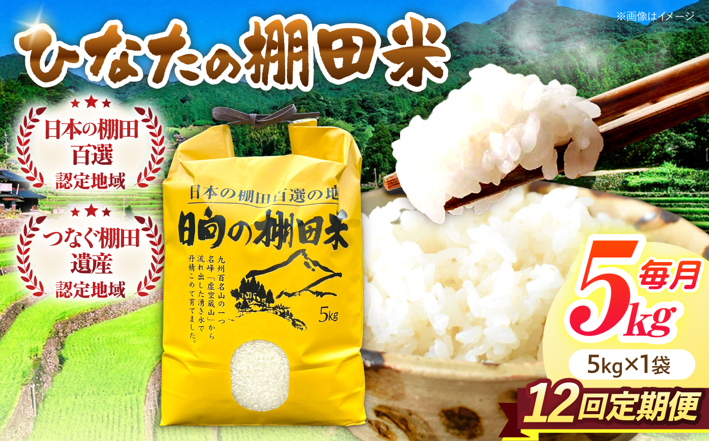 【12回定期便】虚空蔵の清流水で育った棚田米『ひなた米』 5kg 【木場中山間管理組合】 [OCM048]