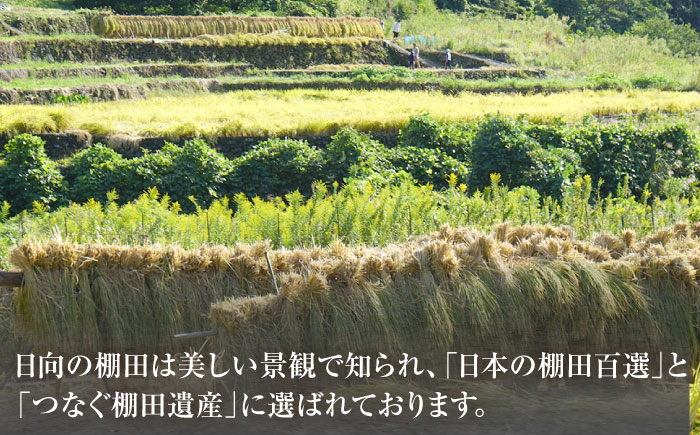 【3回定期便】虚空蔵の清流水で育った棚田米『ひなた米』 8kg(2kg×4袋) 【木場中山間管理組合】[OCM027] / 精米 新米 こめ ごはん おいしい ふっくら ヒノヒカリ