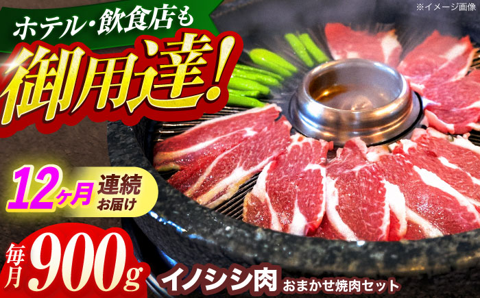 【12回定期便】ジビエ 天然イノシシ肉 おまかせ焼肉セット 900g （ロース・モモ・バラ）【照本食肉加工所】 [OAJ033] / 肉 猪 猪肉 イノシシ イノシシ肉 いのしし しし肉 しし鍋 ボタン鍋 ジビエ