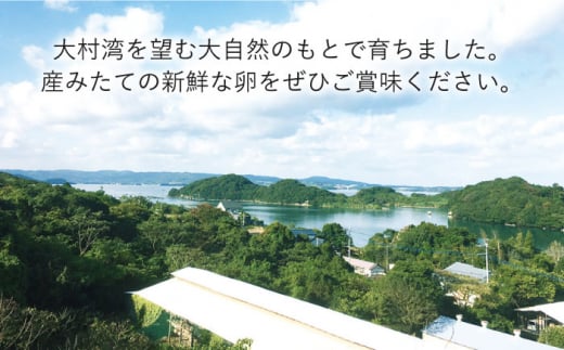 平飼い もみじ の 高級 たまご 新鮮 産みたて卵 20個【野中鶏卵】[OAC014] / 卵 長持ち 濃厚 玉子 濃厚 卵料理 タマゴ 鶏卵 オムレツ 卵かけご飯 卵焼き 