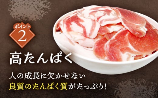 ジビエ 天然いのしし肉 切り落とし1kg（ぼたん鍋・煮込料理・野菜炒め用等）【照本食肉加工所】[OAJ001] / 猪 猪肉 いのしし肉 イノシシ イノシシ肉 ジビエ いのしし 長崎県猪 川棚町産猪 ぼたん鍋用いのしし 九州産イノシシ じびえ ジビエ ジビエ肉