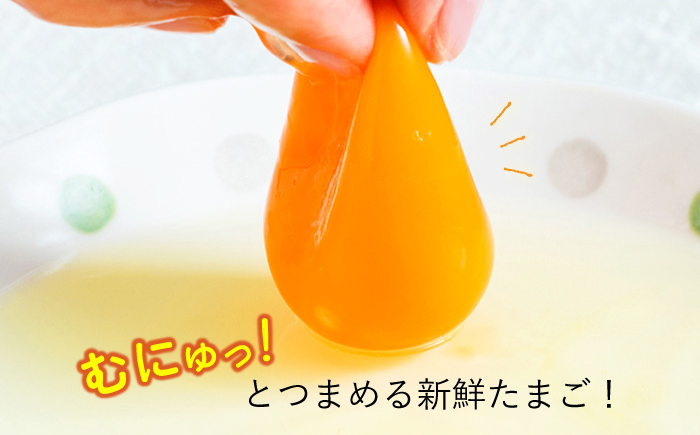 平飼い もみじ の 高級 たまご 40個 ※12月発送なし【野中鶏卵】 [OAC013]