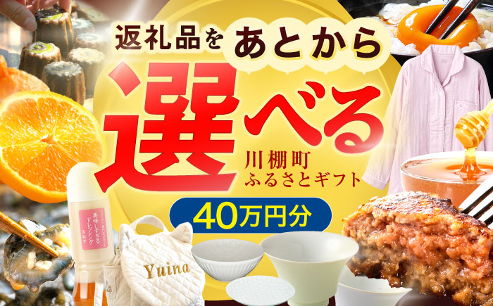 【あとから選べる】川棚町ふるさとギフト 40万円分　長崎県 川棚町 [OZZ022]