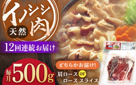 【12回定期便】ジビエ 天然イノシシ肉 肩ロース or ロース スライス500g【照本食肉加工所】[OAJ044] / 猪 猪肉 いのしし肉 イノシシ イノシシ肉 ジビエ いのしし 長崎県猪 川棚町産猪 ぼたん鍋用いのしし 九州産イノシシ じびえ ジビエ ジビエ肉