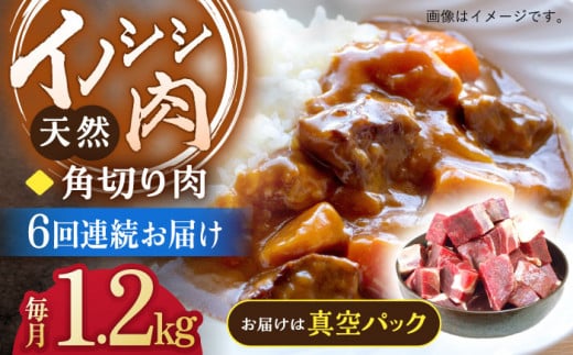 【6回定期便】ジビエ 天然イノシシ肉 角切り肉 1.2kg（カレー・シチュー）【照本食肉加工所】[OAJ065] / 猪 猪肉 いのしし肉 イノシシ イノシシ肉 ジビエ いのしし 長崎県猪 川棚町産猪 ぼたん鍋用いのしし 九州産イノシシ じびえ ジビエ ジビエ肉