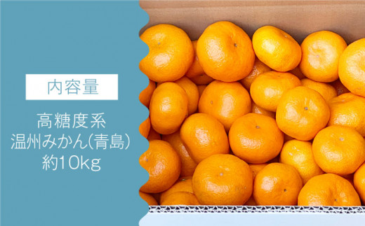【数量限定】高糖度系 温州みかん(青島) 約10kg【長崎ぶんたんの会】 [OAF006] ミカン 柑橘 果物  フルーツ