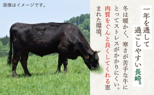 【6回定期便】偶数月にお届け！ 長崎和牛 バラエティ 部位 セット 毎回1kg ×6回【希少部位アリ！】【川下精肉店】 [OAA020] / 牛肉 和牛 希少 長崎 部位 焼肉 ステーキ 切り落とし ＢＢＱ セット 詰合わせ