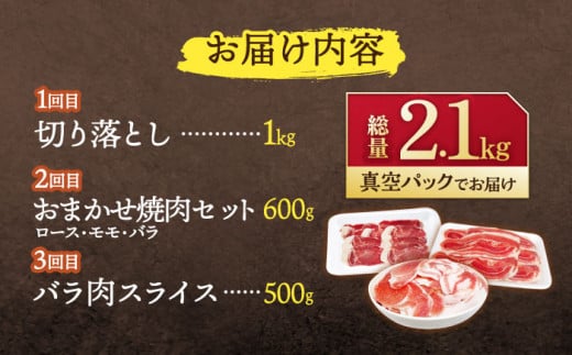 【3回定期便】ジビエ 天然イノシシ肉 人気部位 総量2.1kg【照本食肉加工所】 [OAJ074] / 肉 猪 猪肉 イノシシ イノシシ肉 いのしし しし肉 しし鍋 ボタン鍋 ジビエ